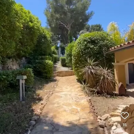 Willy Coccon D'amour * Sanary-sur-Mer