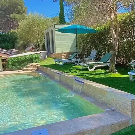 Willy Coccon D'amour