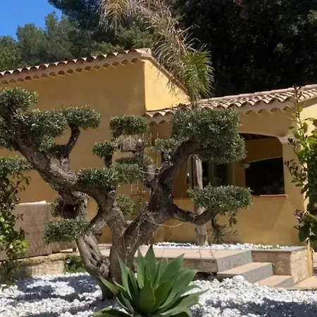 Willy Coccon D'amour Sanary-sur-Mer