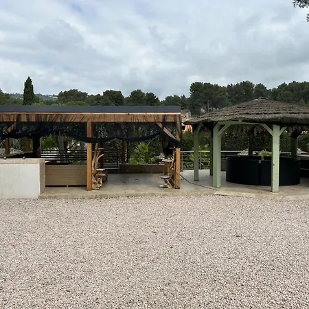 Willy Coccon D'amour *