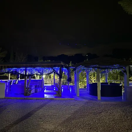 Willy Coccon D'amour