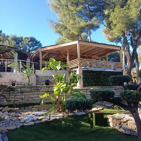 Willy Coccon D'amour