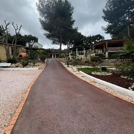 Willy Coccon D'amour * Sanary-sur-Mer