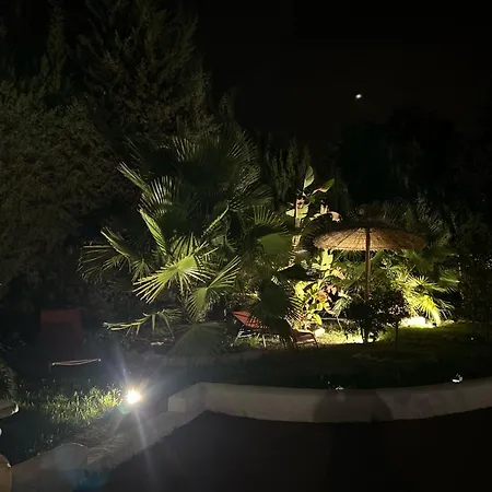 Willy Coccon D'amour Lejlighed