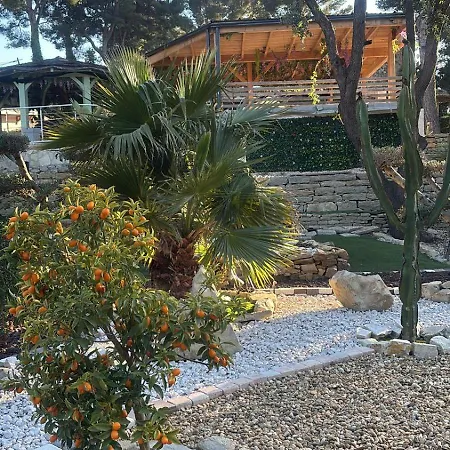 Apartment Willy Coccon D'amour Sanary-sur-Mer