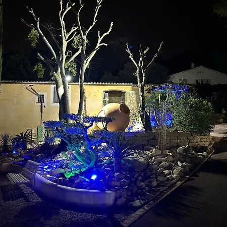 Willy Coccon D'amour Apartment