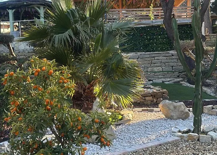 Apartment Willy Coccon D'amour Sanary-sur-Mer