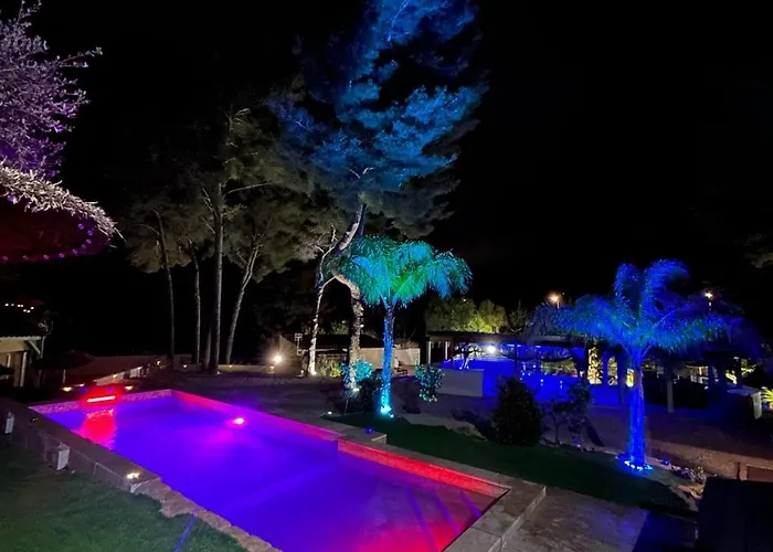 Willy Coccon D'amour